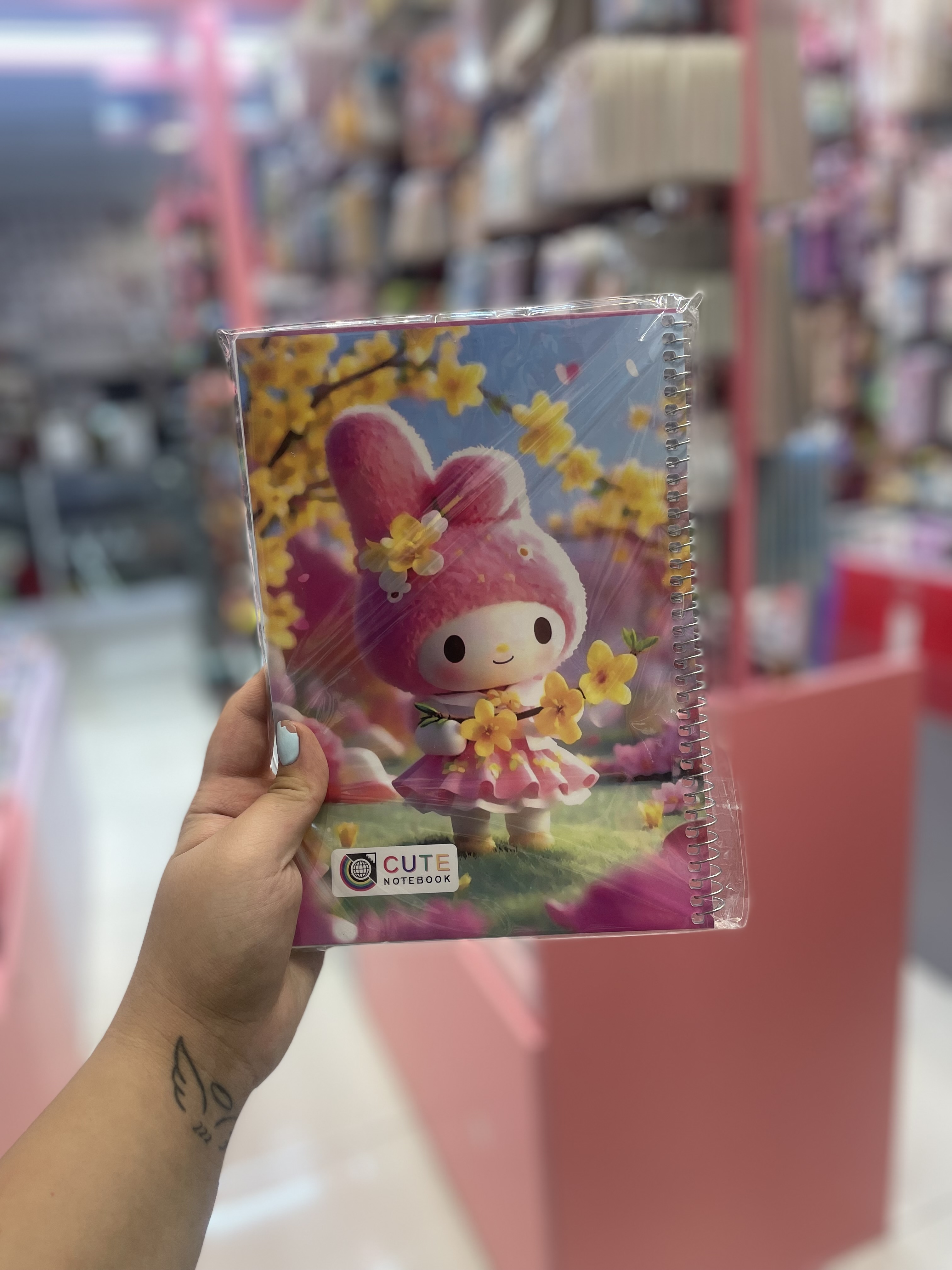 دفتر نقاشی کرومی